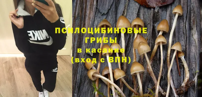 это состав  цена наркотик  Ижевск  Псилоцибиновые грибы Psilocybine cubensis 